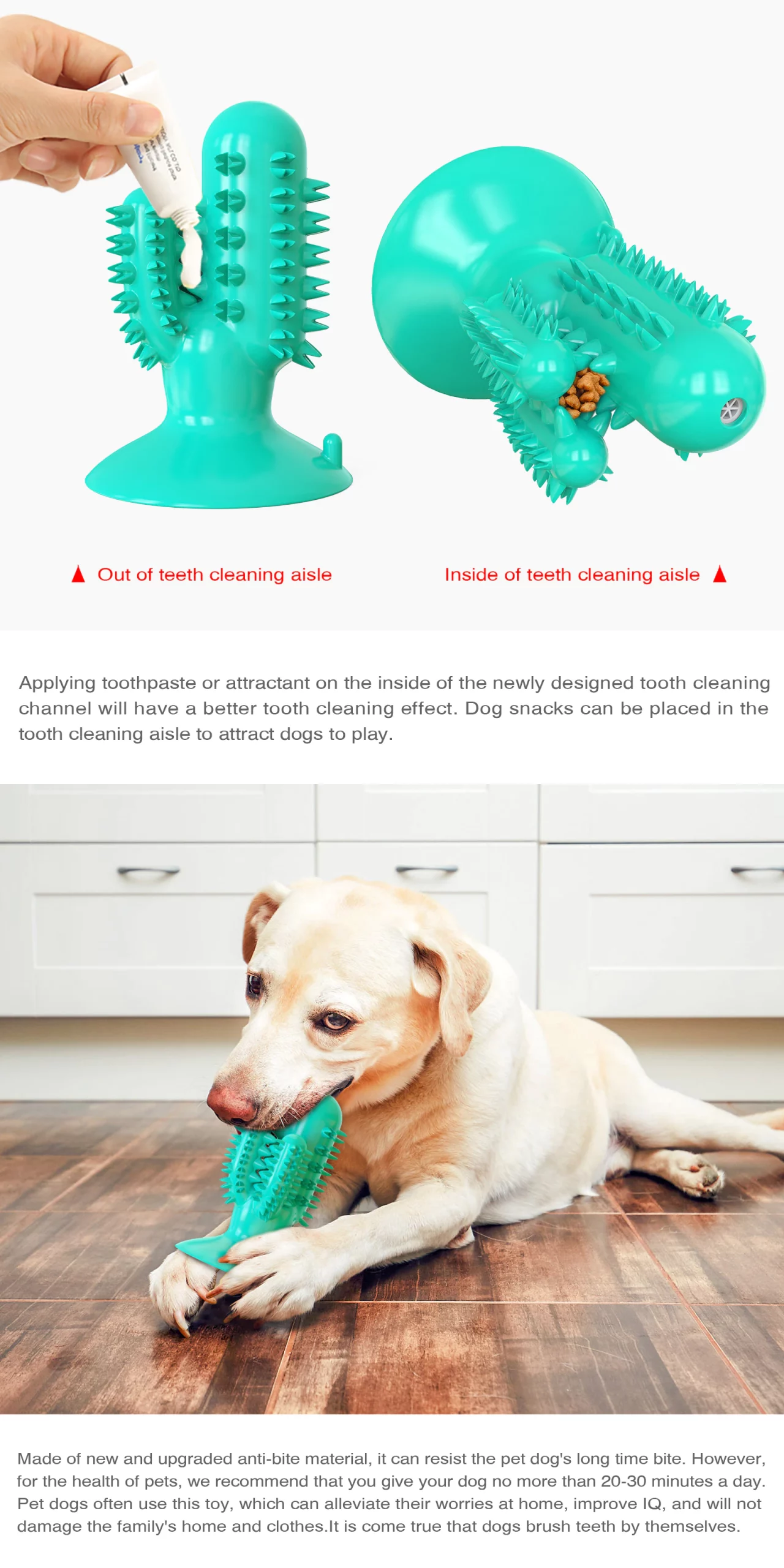 Pet Toys Dog
