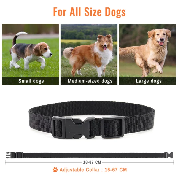 Petrainer 619A-1 800M Electric Dog Collar 1