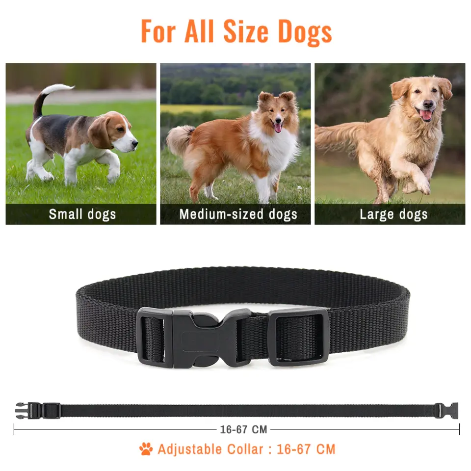Petrainer 619A-1 800M Electric Dog Collar 1