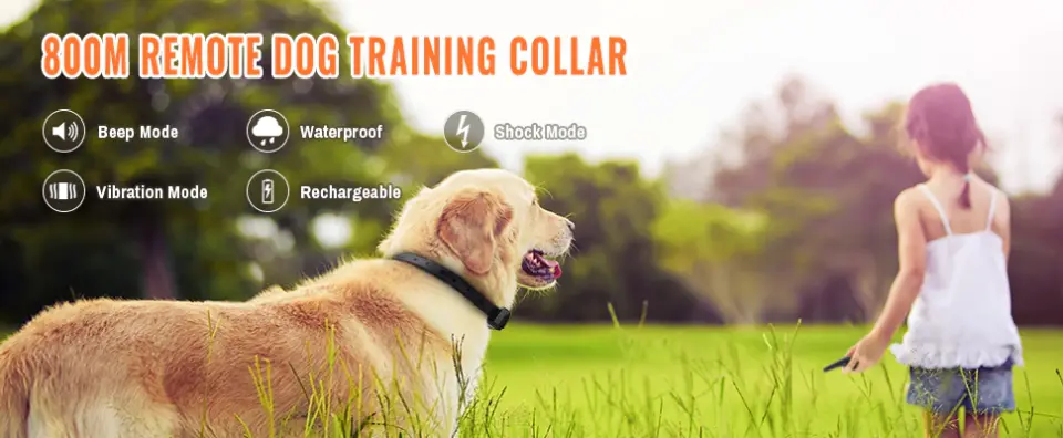 Petrainer 619A-1 800M Electric Dog Collar 7
