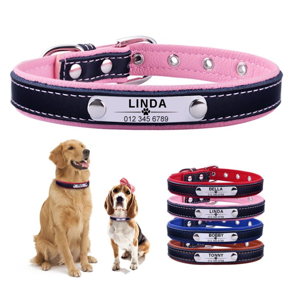 AIRUIDOG Dog Collar