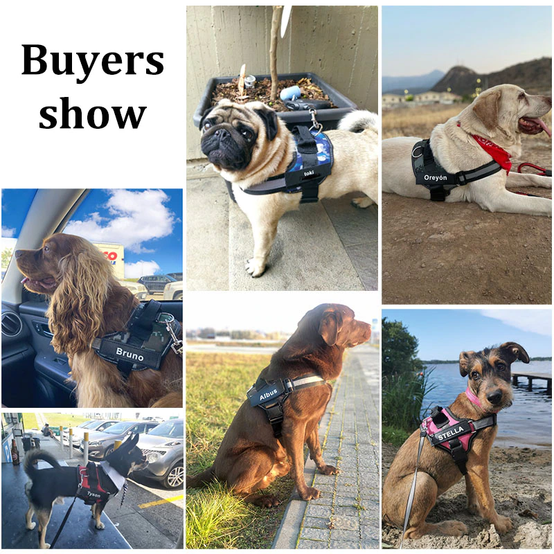 Bolux Dog Harness