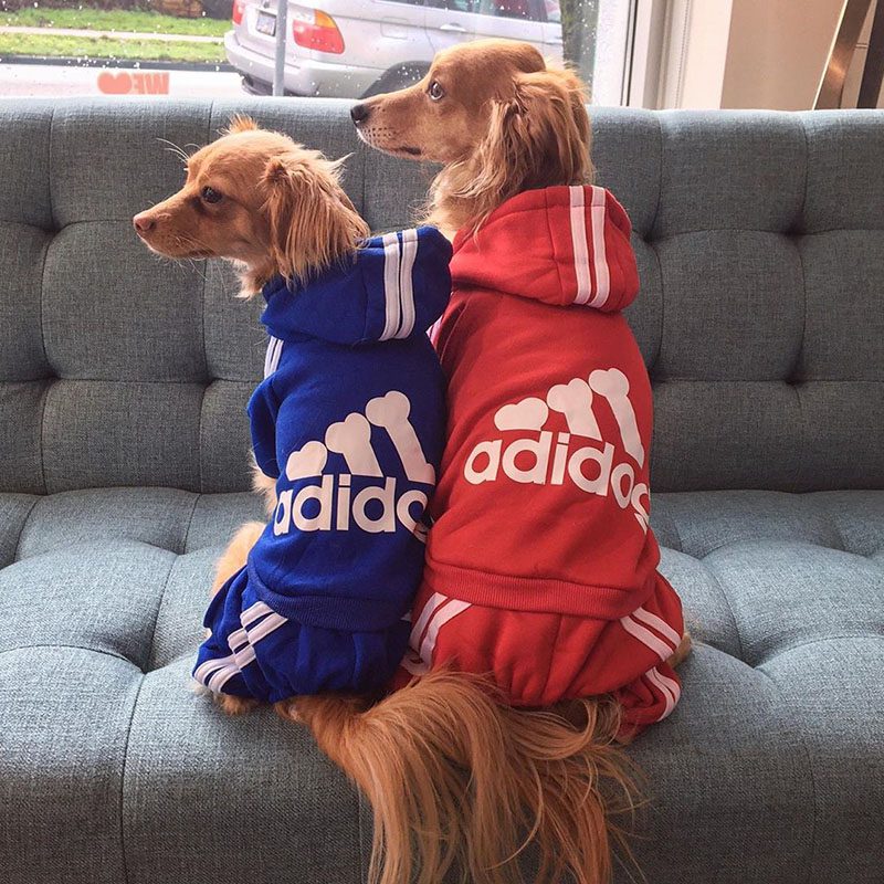 Adidog Dog Costume Pet Jumpsuit