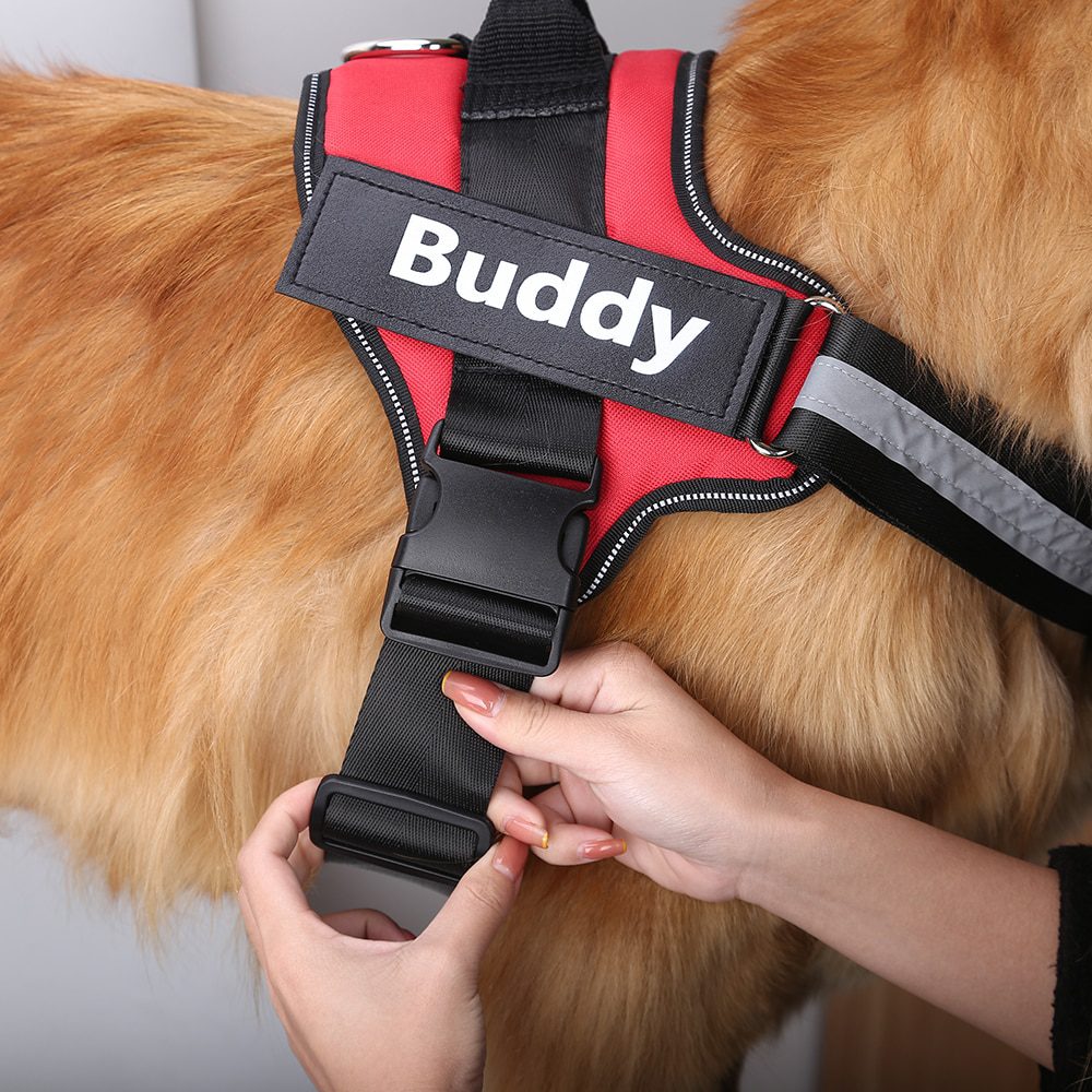 Bolux Dog Harness