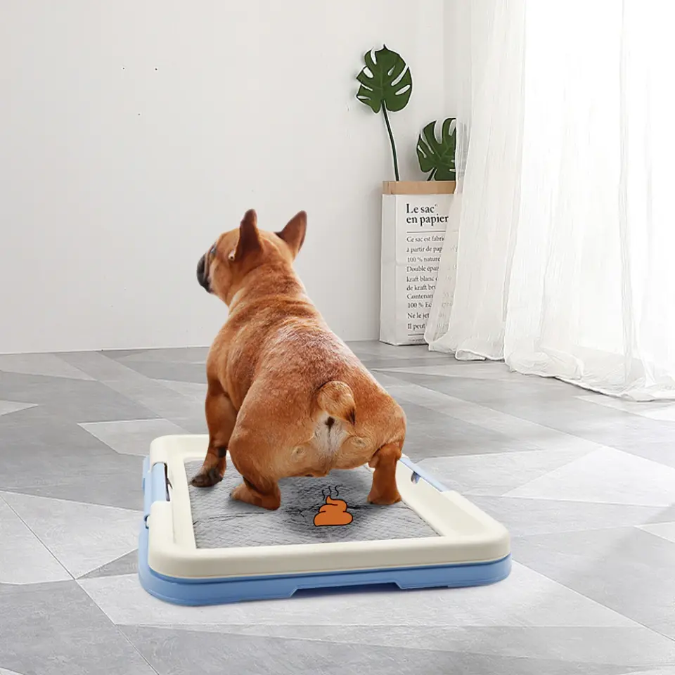 Portable Dog Training Toilet Indoor Dogs 3