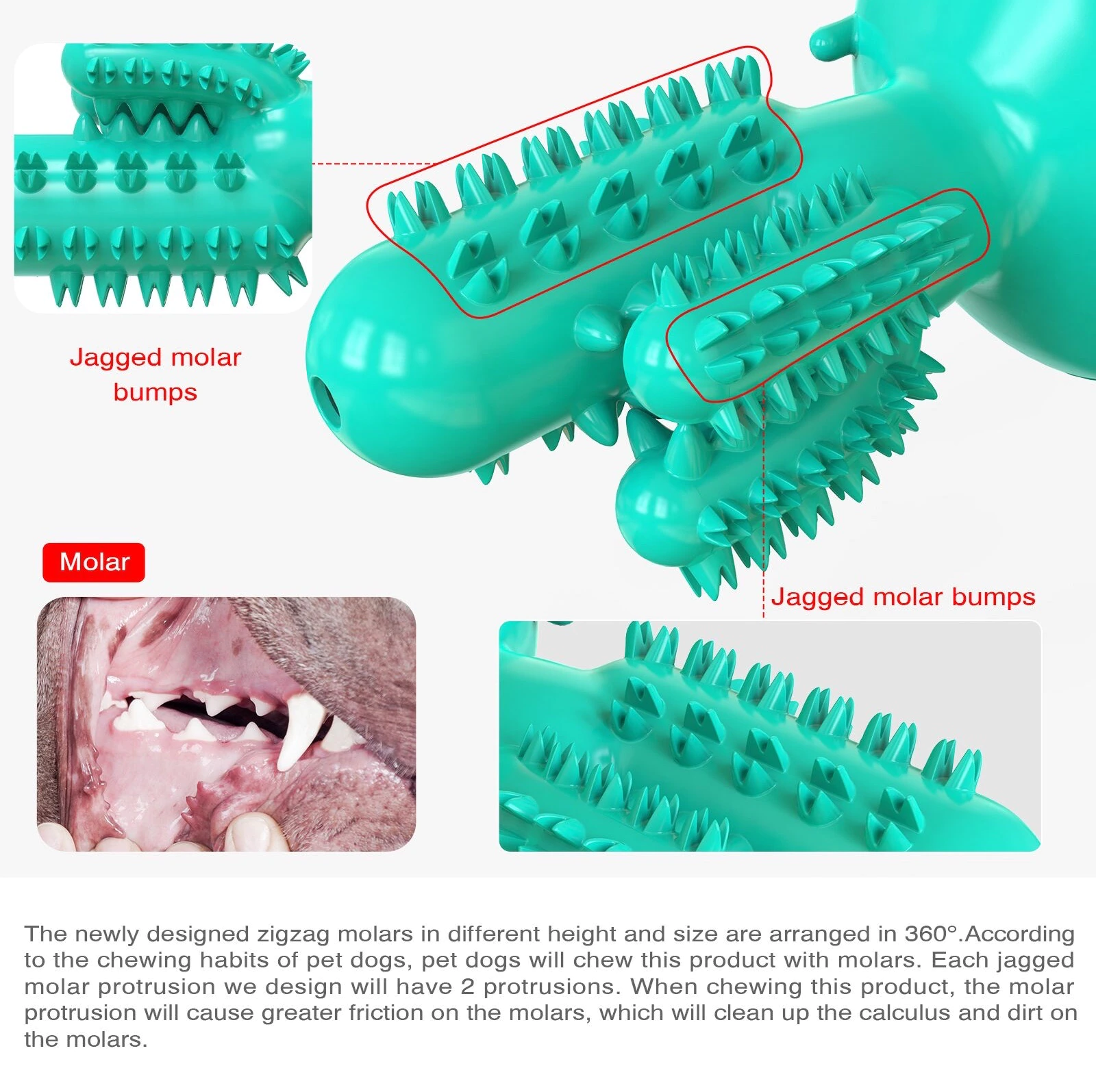 Toothbrush Toy