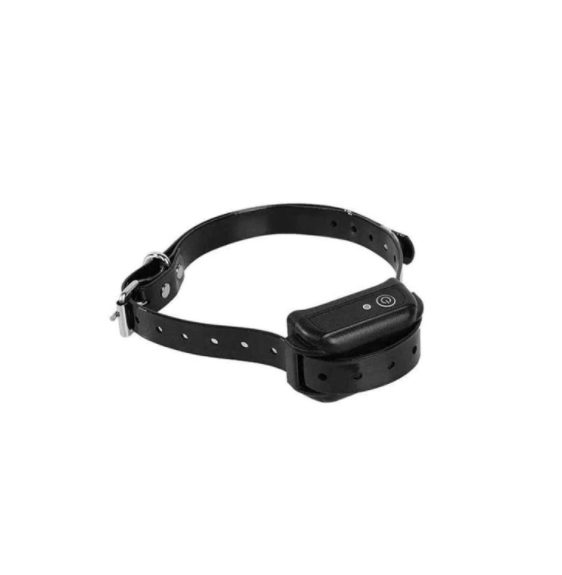 dog collar