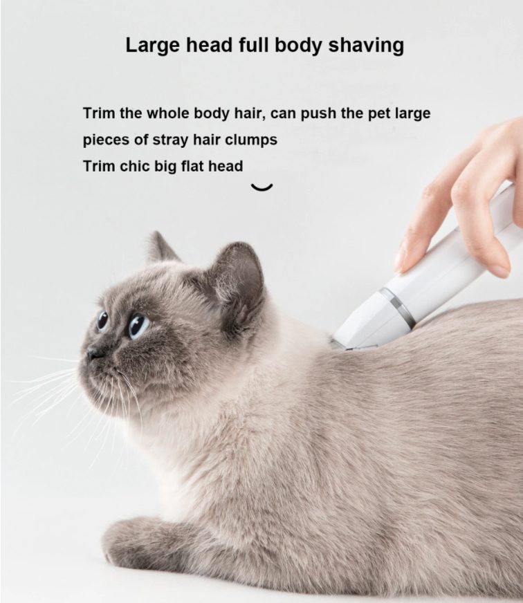 Haircut For Dogs Cats Drop