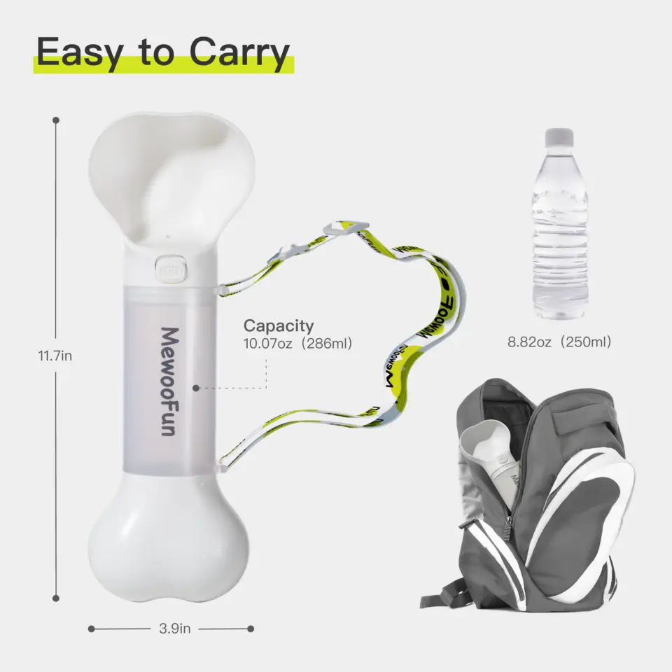 Water Bottle