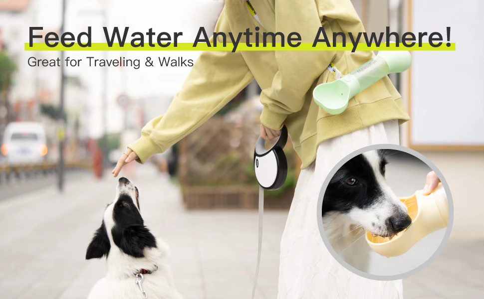 Water Bottle Feeder 2