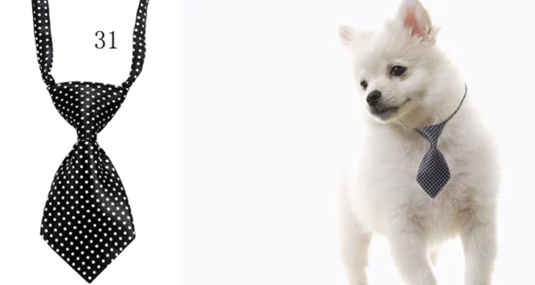 Wholesale Dog Bows Pet Grooming 18