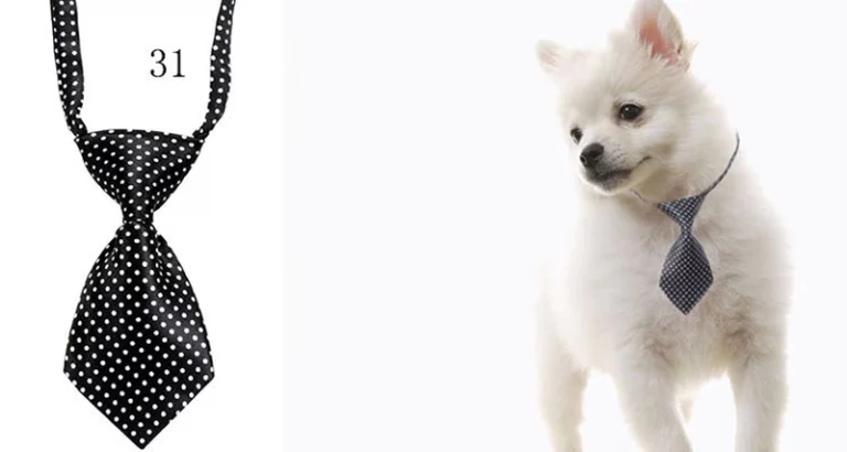 Wholesale Dog Bows Pet Grooming 18