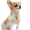 Wholesale Dog Bows Pet Grooming 4
