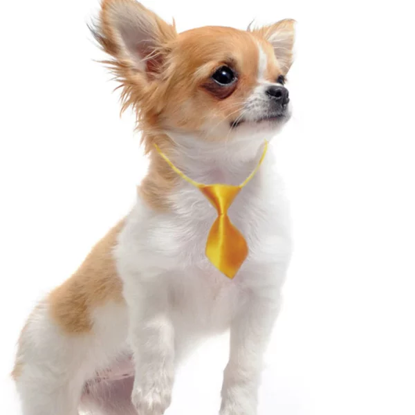 Wholesale Dog Bows Pet Grooming 4