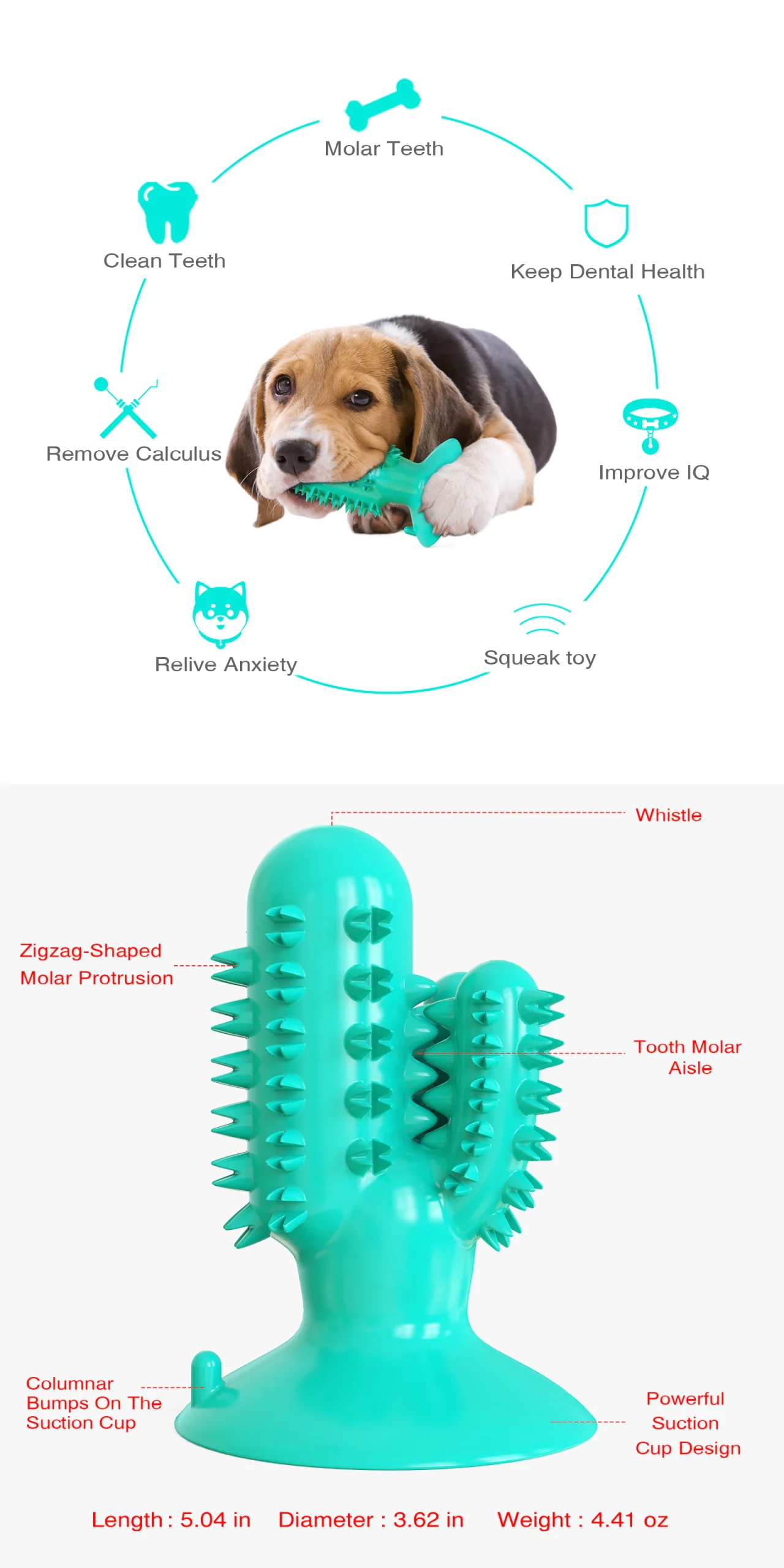 oothbrush Toy Pet Molar