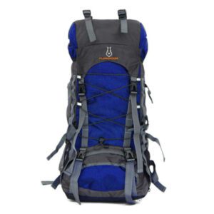 Flamehorse Backpack Blue