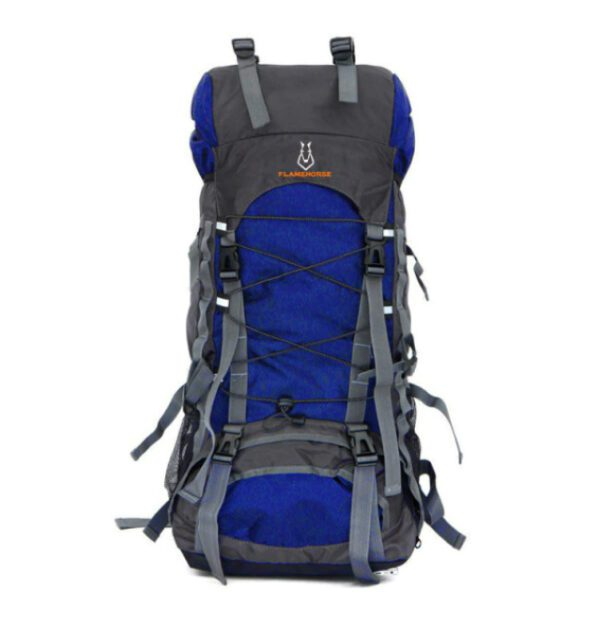 Flamehorse Backpack Blue
