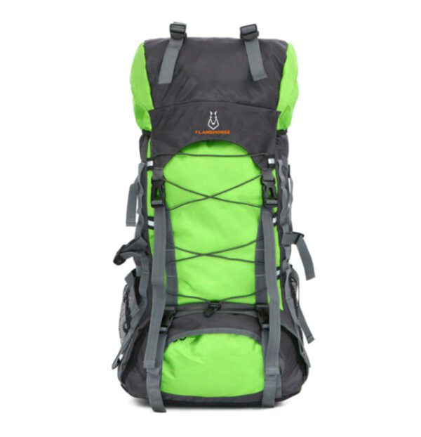 Flamehorse Backpack Green