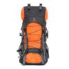 Flamehorse Backpack Gold