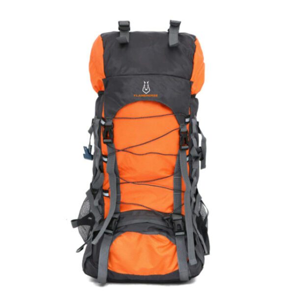 Flamehorse Backpack Gold