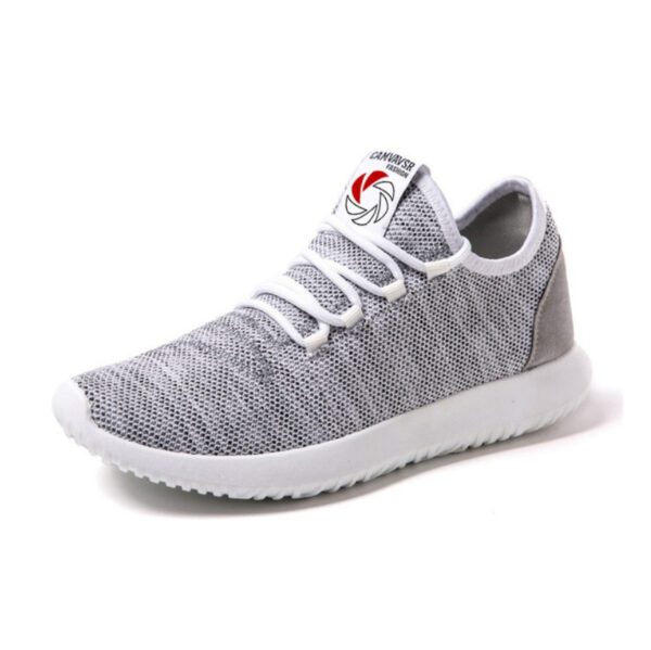 Gray CAMVAVSR 18-08
