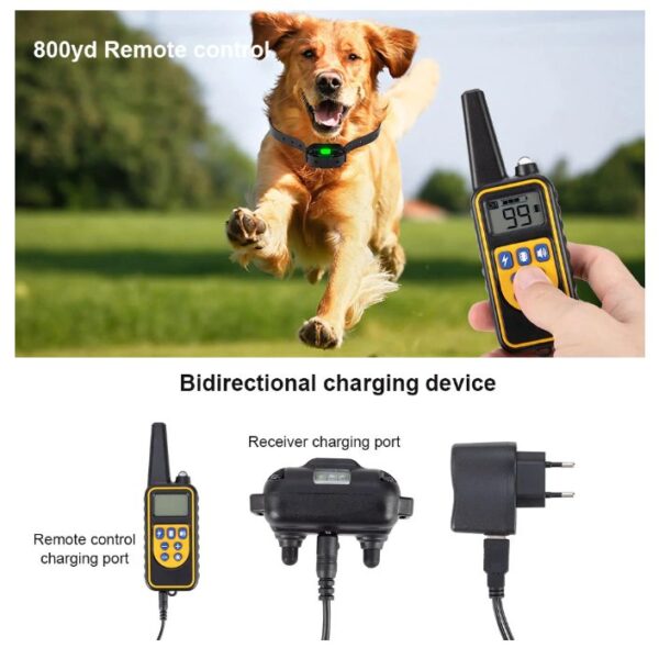 PAWING S180010 Dog Training Collar - Image 6