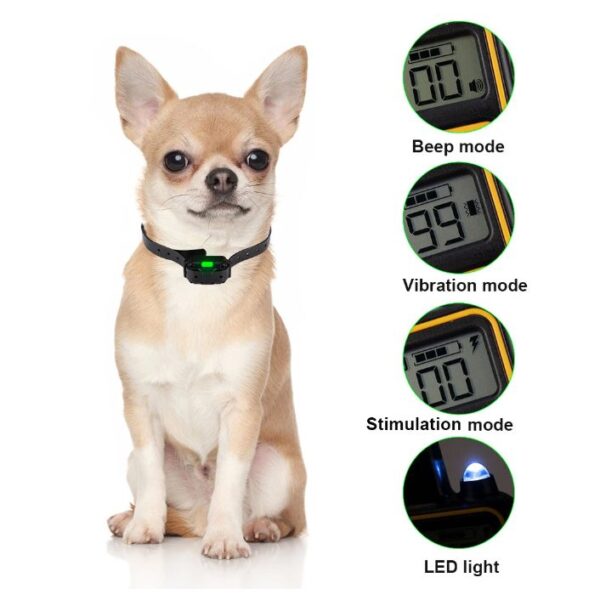 PAWING S180010 Dog Training Collar - Image 7