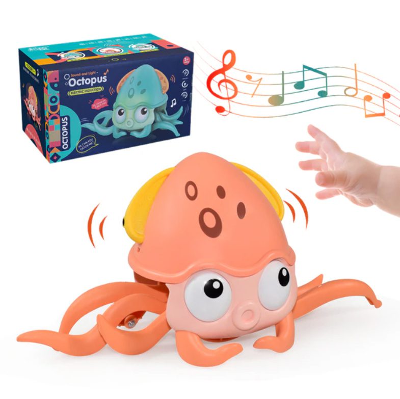 Octopus Orange with box