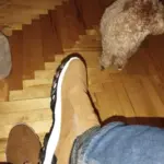UFK Sport Men Casual Shoes Loafers Sneakers