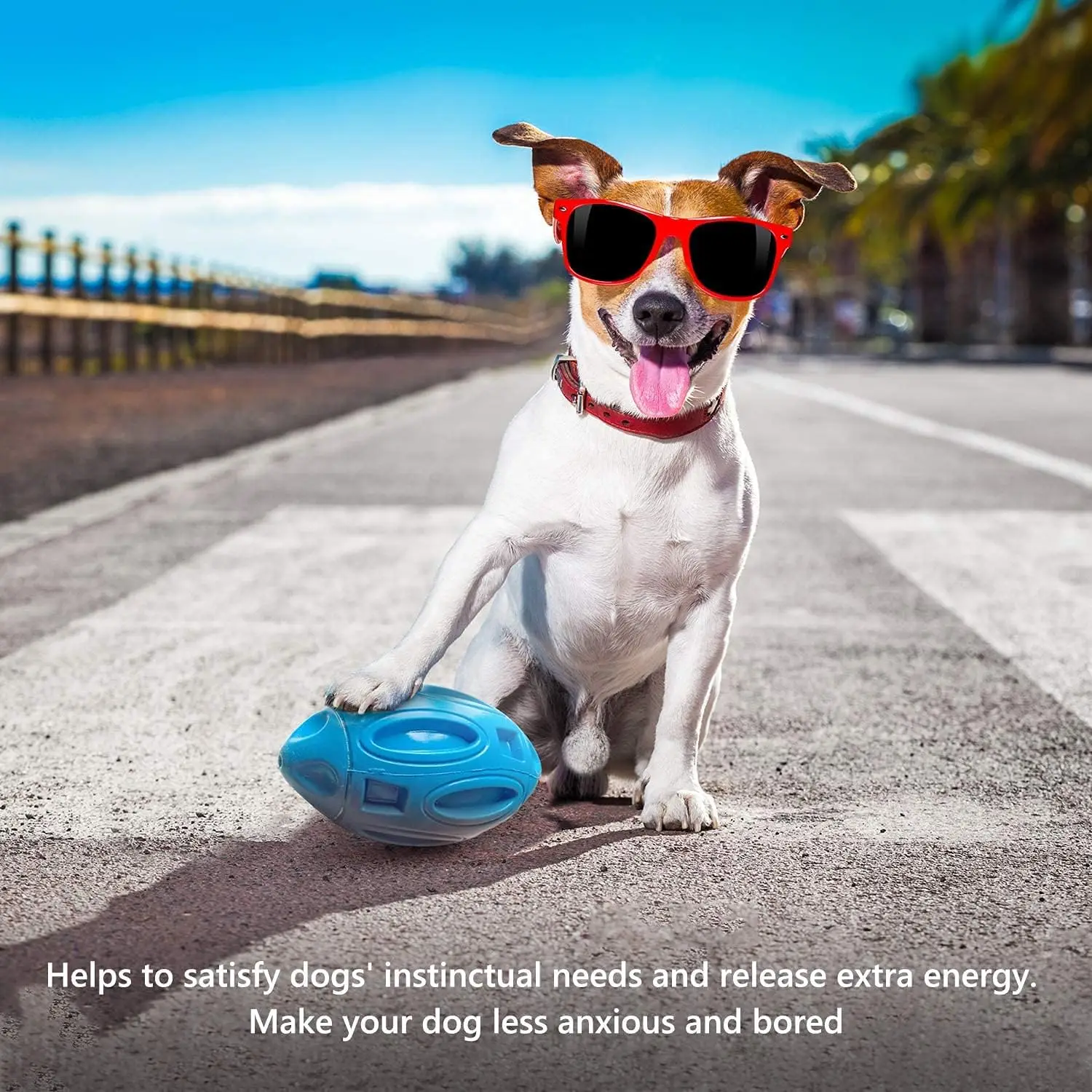 Squeaky Dog Ball for Aggressive Chewers - Satisfy dogs