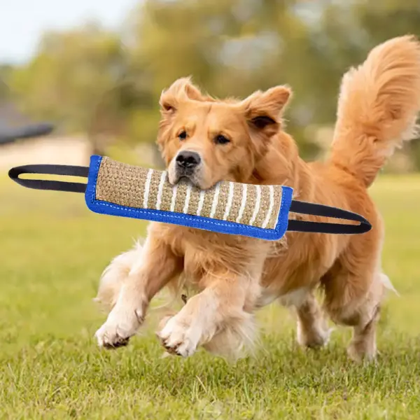 Dog Bite Tug Toy with Dual - Blue