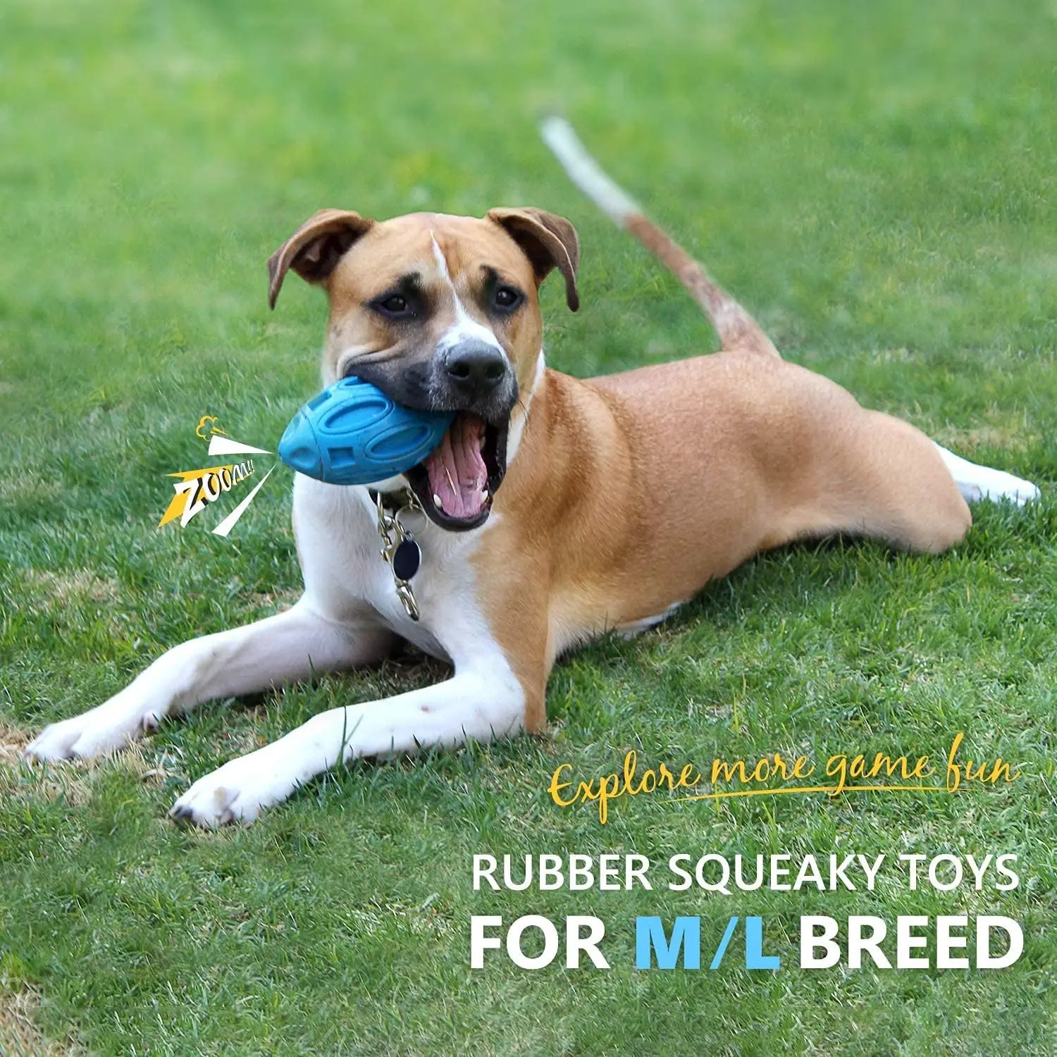 Squeaky Dog Ball for Aggressive Chewers - Enjoy Dog