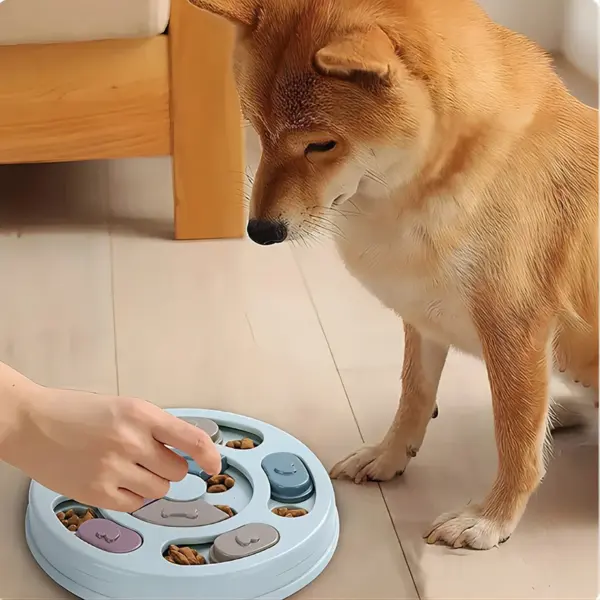 Pet Feeder Dog Educational Toys Increase Puppy Intellectual Food Dispenser Interactive Educational Feeding Toys - AliExpress 15